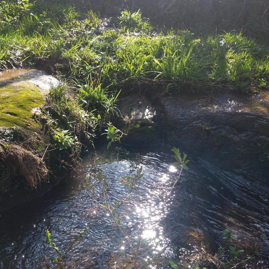 Yahoo Ecolodge Rio Rufino Εξωτερικό φωτογραφία