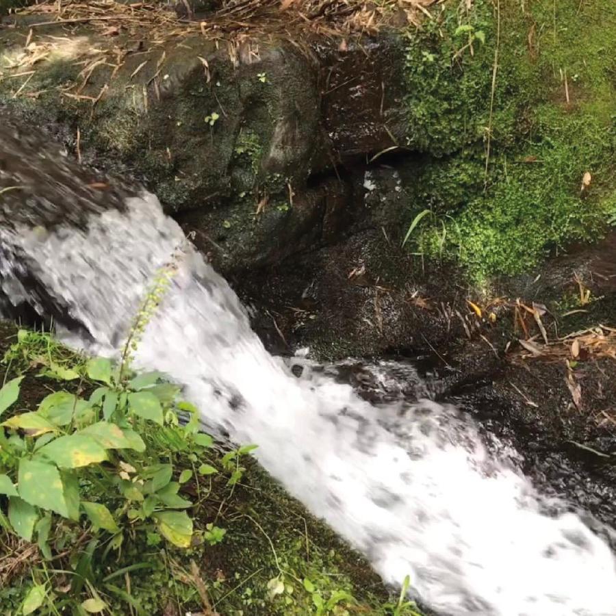 Yahoo Ecolodge Rio Rufino Εξωτερικό φωτογραφία
