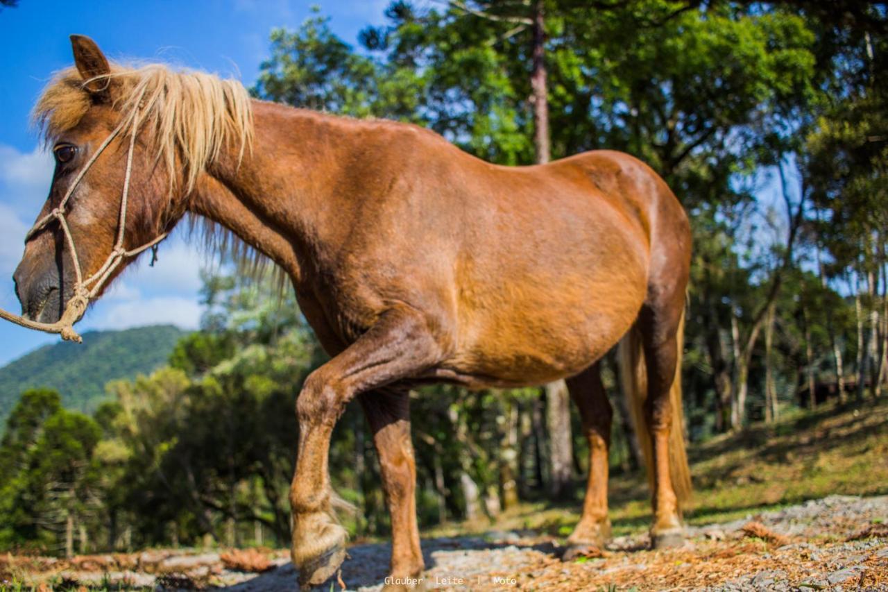 Yahoo Ecolodge Rio Rufino Εξωτερικό φωτογραφία