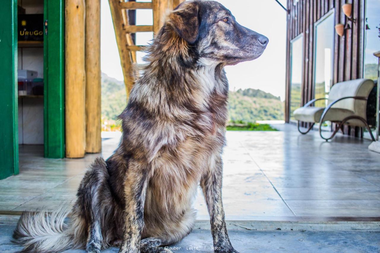 Yahoo Ecolodge Rio Rufino Εξωτερικό φωτογραφία